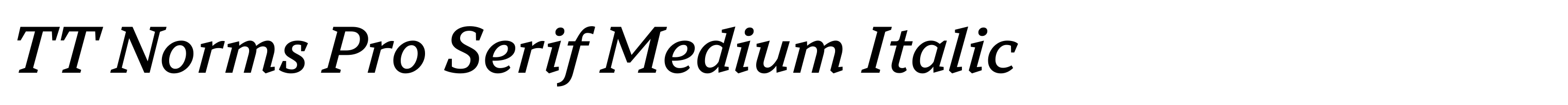 TT Norms Pro Serif Medium Italic